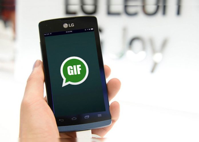 gif-portada-unica
