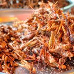 Los humanos del futuro tendrán que comer larvas y gusanos para evitar la desnutrición ciencia, alimentos, gusanos, humanos del futuro,