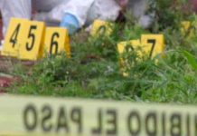 mexico, homicidio, violencia, crimen organizado,