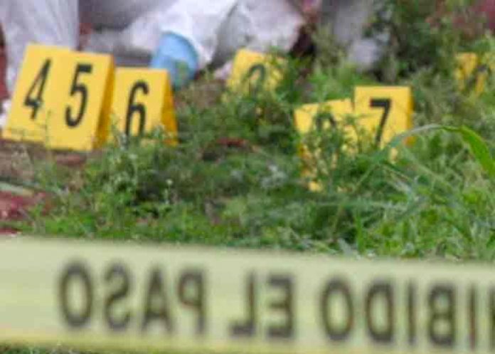 hallan-cuerpos- mexico, homicidio, violencia, crimen organizado,