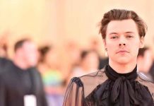 belleza, harry styles, linea cosmetica, cantante, tendencia,