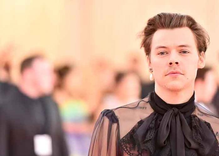 belleza, harry styles, linea cosmetica, cantante, tendencia,