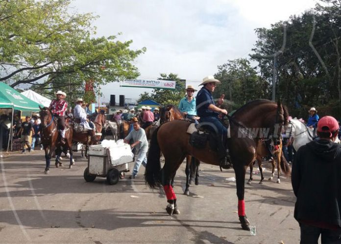hip41