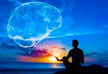 Ejercicios de meditación varían estructura cerebral y reducen estrés social