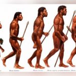 ¿Desde cuándo el hombre habita los distintos continentes?