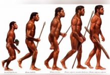 ¿Desde cuándo el hombre habita los distintos continentes?