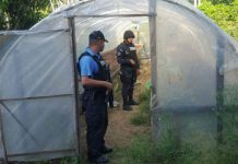 Desmantelan narcolaboratorio y descubren plantaciones de coca en Honduras