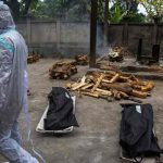 India: Muere hombre con hongo negro, blanco y amarillo india, muerte, hongo amarillo, enfermedades infecciosas,