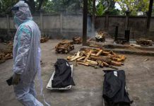 india, muerte, hongo amarillo, enfermedades infecciosas,
