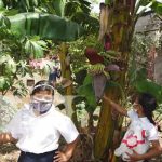 nicaragua, nandaime, huertos escolares, niños,