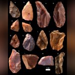 Fósil marroquí de Yebel Irhud confirma el origen panafricano del Homo Sapiens