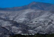 Bomberos controlan casi por completo el incendio «Thomas» en California