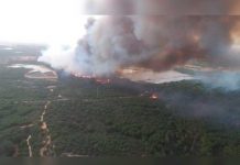 Al menos 1.500 evacuados por incendio que llega a parque natural español