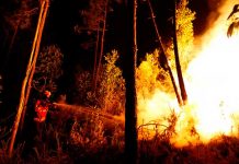 Al menos 43 fallecidos en un voraz incendio forestal en Portugal