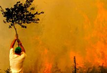 España: Se desatan fuertes incendios en Galicia