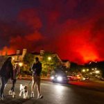 los angeles, incendio forestal, medio ambiente,