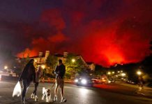 Policía de Los Ángeles detiene a dos personas por un incendio forestal los angeles, incendio forestal, medio ambiente,