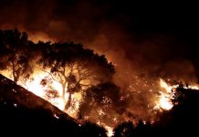 Diez muertos por devastadores incendios en región del vino de California