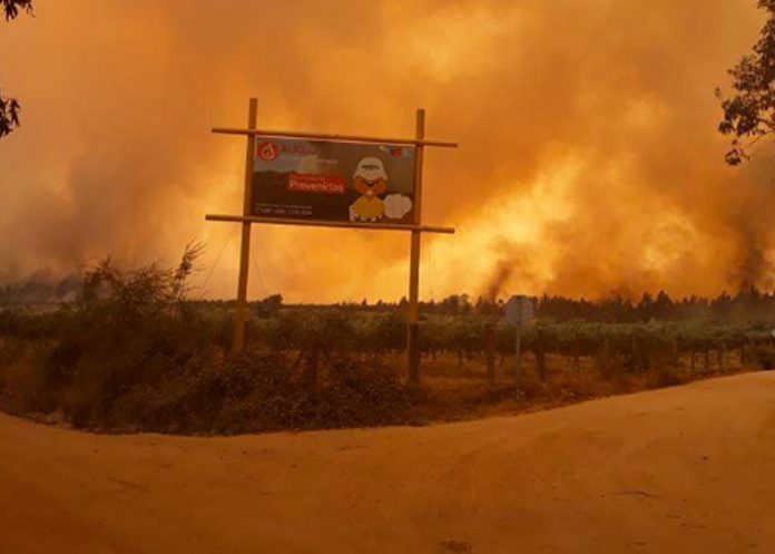 incendiochile
