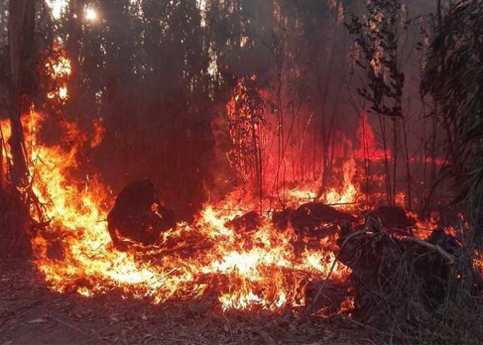 incendios