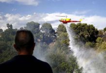 Incendios forestales siguen ardiendo en Francia y Portugal