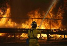 EE.UU: Incendios en California destruyen archivos de HP