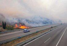 Violento incendio forestal en la frontera franco-española