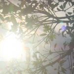 INETER: Días calurosos y lluvias aisladas en el Caribe de Nicaragua nicaragua, calor, ineter, clima, pronostico,
