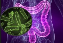 La microbiota juega un papel esencial en el crecimiento del cáncer de colon
