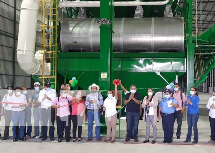 inversion-cafe-01 nicaragua, cafe, produccion, inversion, calidad,