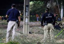 Asesinan a candidata a alcalde en Guanajuato, México mexico, asesinato, candidata, alacalde, guanajuato, episodio de violencia,