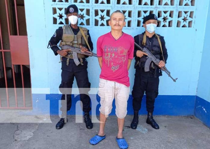 jinotega-marihuana-01 nicaragua, marihuana, incautacion, policia, jinotega,