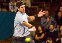 Del Potro avanza a semis en torneo de Basilea