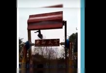 Video capta espantosa muerte de niña en juego mecánico