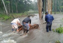 Nueva Guinea a la expectativa por la tormenta tropical