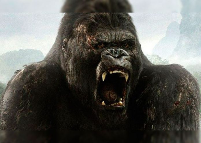 kong-taquilla-portada