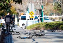 Nueva York: Revelan contenido de la nota que dejó el arrestado por el atentado