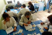 Científicos chilenos logran leche sin lactosa con microorganismos antárticos