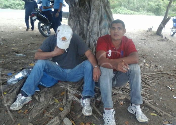 ladns