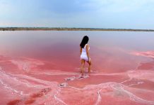 El agua de un lago australiano se tiñe de rosa