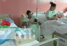 Personal de salud de Managua aprende más sobre el valor de la leche materna nicaragua, leche materna, leche, salud, embarazada,