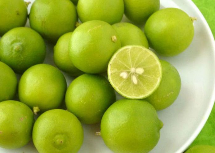 limon-con-agua-portada