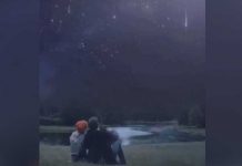 Dos lluvias de estrellas se verán en noviembre