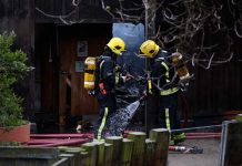 Londres: Incendio en zoológico deja un animal muerto y 4 desaparecidos