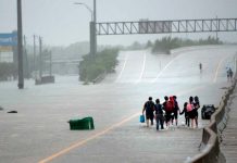Trump declara estado de emergencia en Luisiana