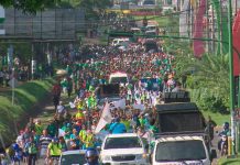 Managua: Miles participan en caminata en saludo al día del Medio Ambiente