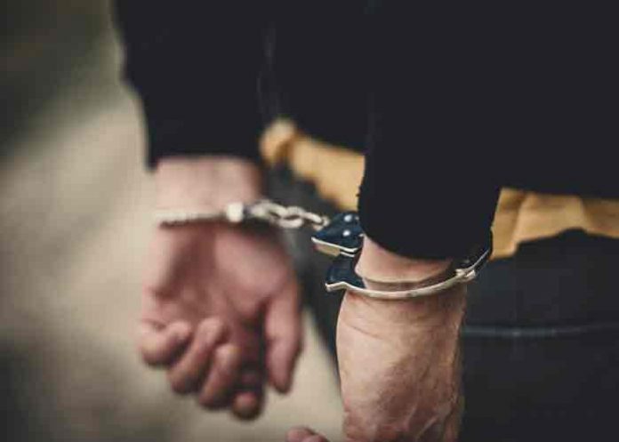 italia, arresto, mafia, crimen organizado,