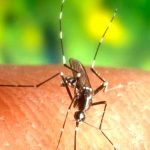 ONU: Brote de malaria mata a miles en Burundi