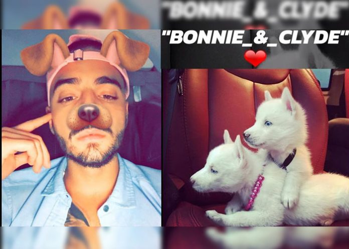 maluma-perros-portada
