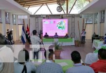 Fortalecen trabajo ambiental en urbanizaciones de interés social en Managua nicaragua, managua, urbanizacion, trabajo ambiental, alcaldia,